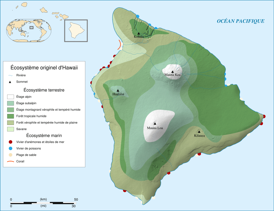 Hawaii maps.