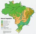 Brazil Vegetation Map 1977 - Mapsof.Net Map