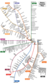 Chicago - Mapsof.net