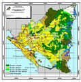 Map Forest Nicargua - Mapsof.Net Map