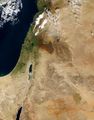 Palestine - Mapsof.net