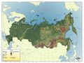 Topographic Map of Russia - Mapsof.Net Map