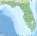 Usa Florida Relief Map - Mapsof.Net Map