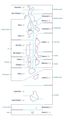 Atolls of the Maldives - Mapsof.net