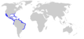 Globe - Mapsof.net