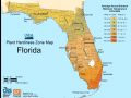 Florida Plant Hardiness Zone Map - Mapsof.Net Map