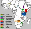 Africa - Mapsof.net