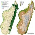 Madagascar Topo - Mapsof.net