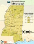 Mississippi Plant Hardiness Zone Map - Mapsof.net
