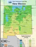 New Mexico - Mapsof.net
