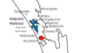 New Zealand - Mapsof.net