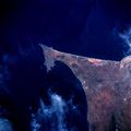 Dakar - Mapsof.net