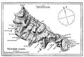 Trindademapcruiseofthealerte - Mapsof.Net Map