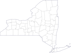 Map of New York County Outlines