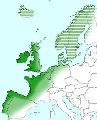 Atlantic Europe