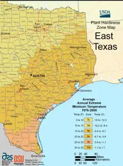 East Texas Plant Hardiness Zone Map
