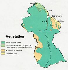 Guyana Veg 1973