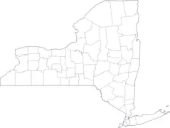 Map of New York County Outlines
